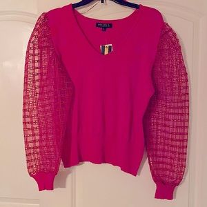 NWT Joseph A. V-Neck Caged Sleeve Sweater
